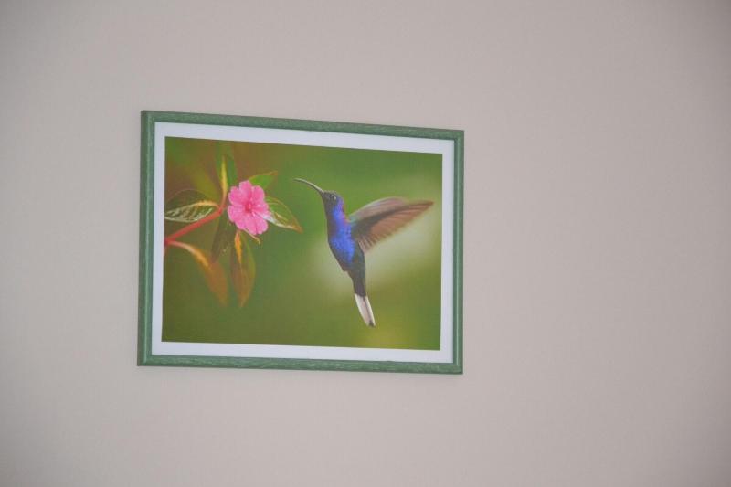 Le Colibri Bleu image