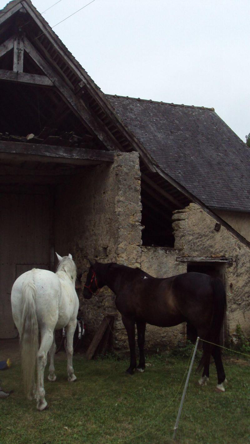 Ga Te Le Porteau Enchanteur image