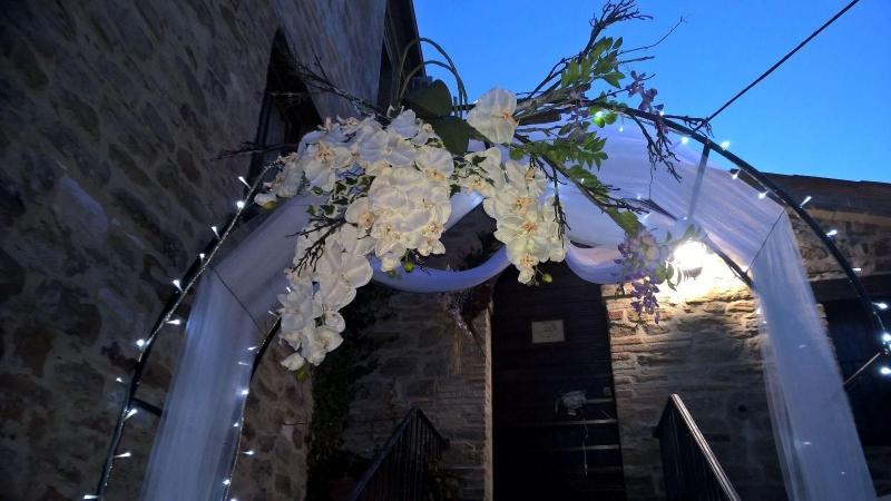 Il Paradiso Del Re image