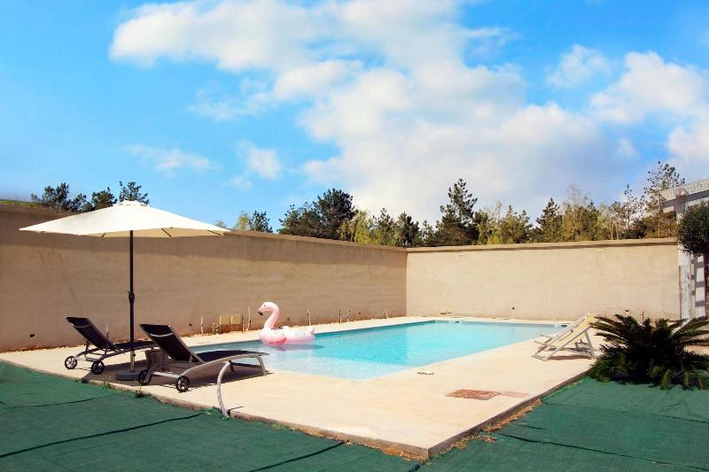 Signorino Suites Pool image