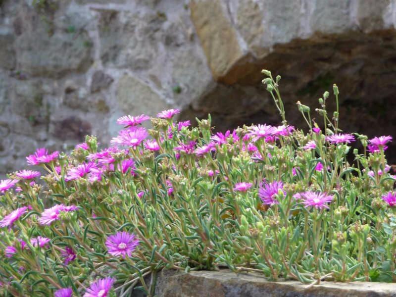 Chateau D Olmet Guesthouse image