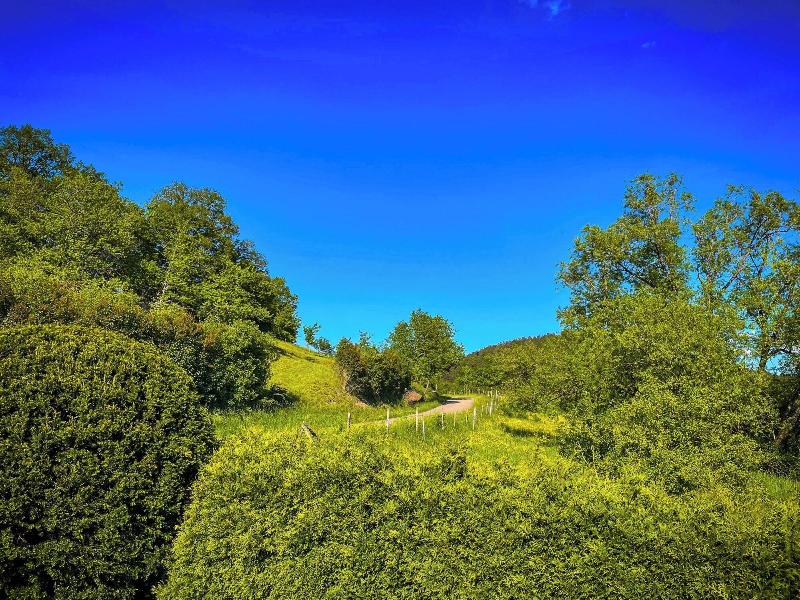 Ga Stehaus Juhl image