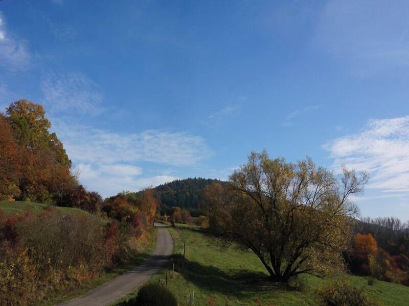 Ga Stehaus Juhl image