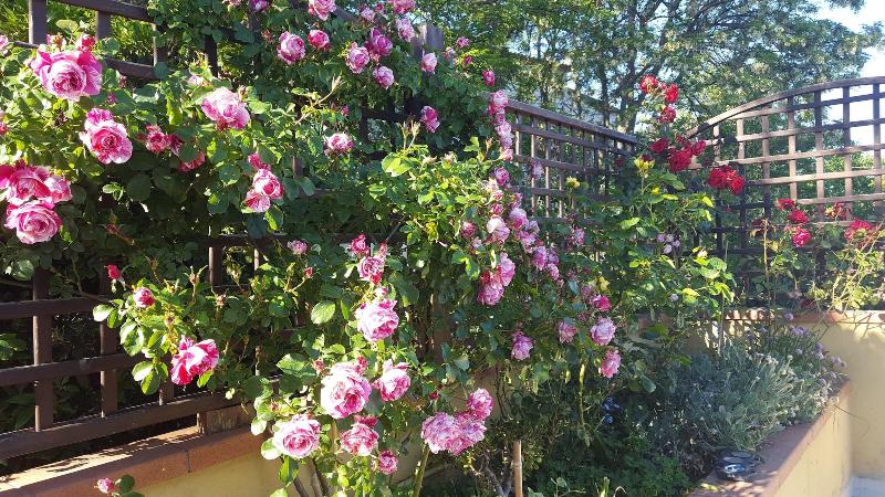 Bed Breakfast La Valle image