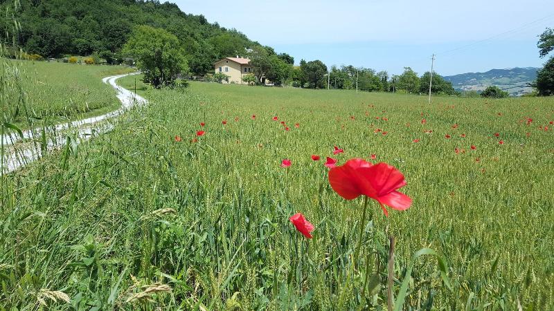 Bed Breakfast La Valle image