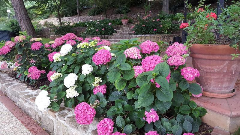 Bed Breakfast La Valle image