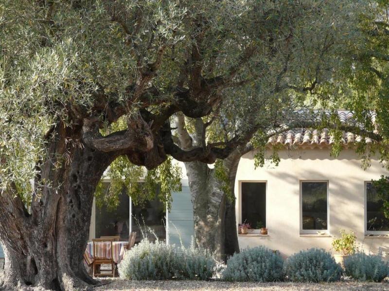 Bastide Sainte Trinide image