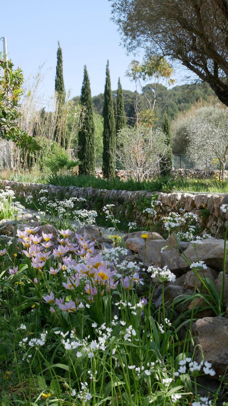 Bastide Sainte Trinide image