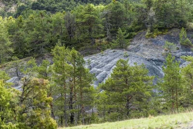Terre Des Baronnies Cabanes image