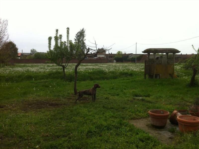Il Passatempo Di Enrica — photo 3