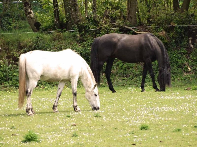 Domaine Des Vallons image