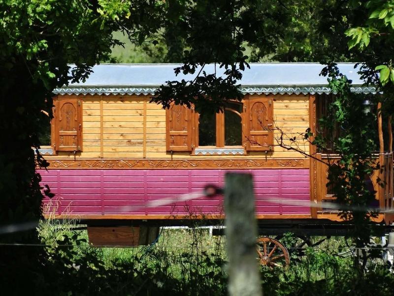 Domaine Des Vallons image