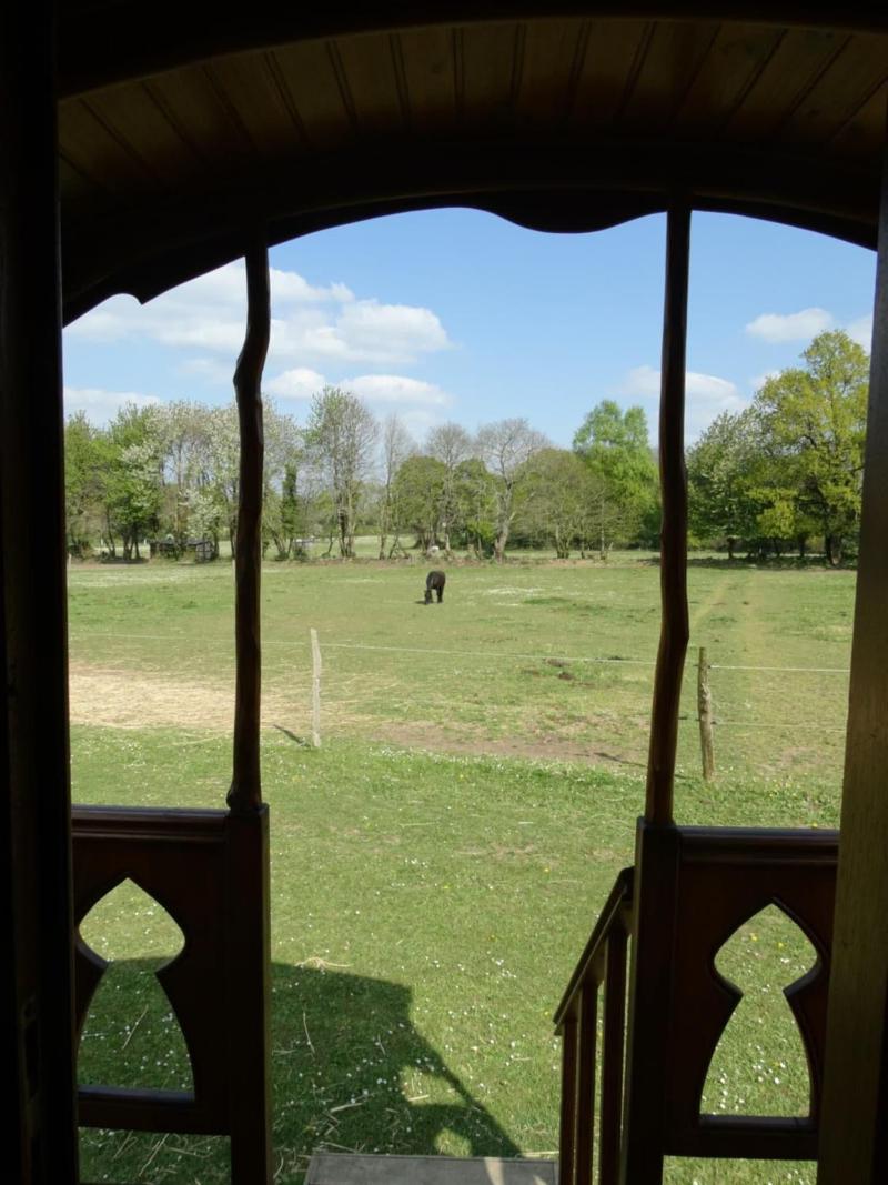 Domaine Des Vallons image