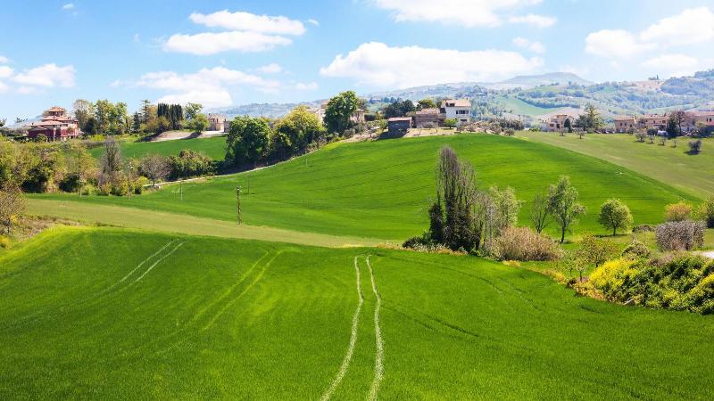 La Pietra B B — photo 3