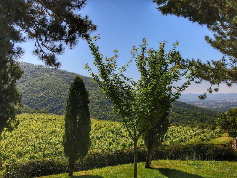 Detached Villa For 6 Pers With Outdoor Swimming P image