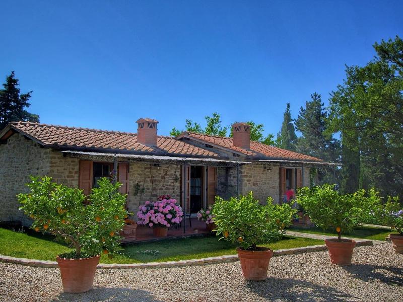 Detached Villa For 6 Pers With Outdoor Swimming P image