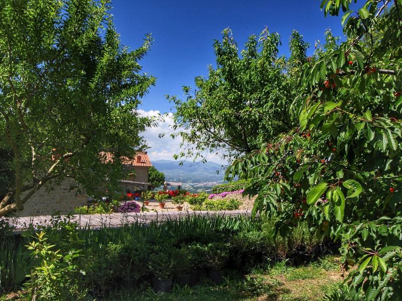 Detached Villa For 6 Pers With Outdoor Swimming P image