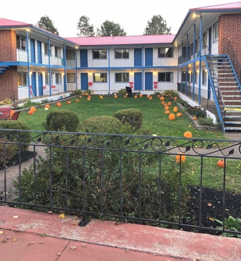 Bridgetown Motor Inn image