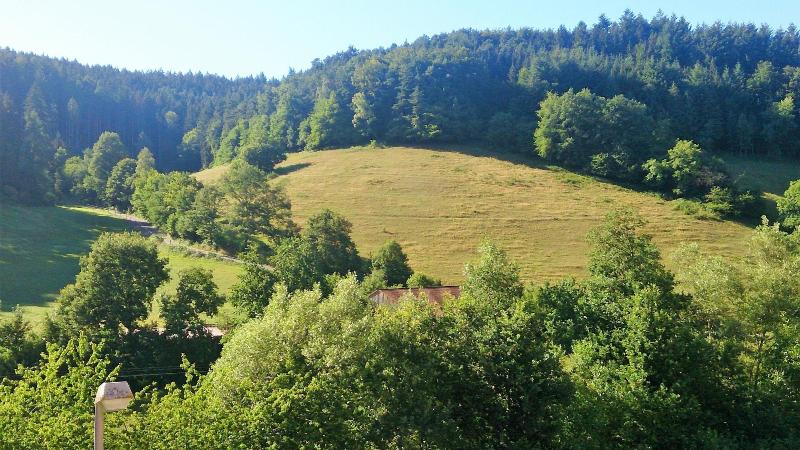 Hotel Gasthof Zur Krone image