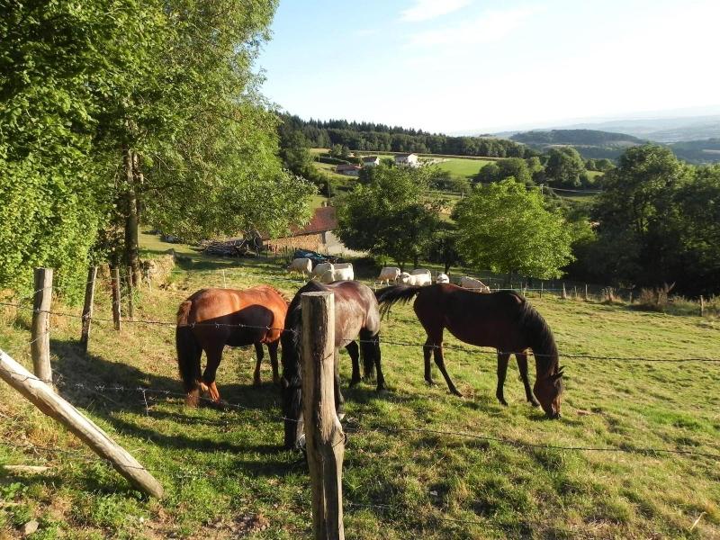 Ferme Des Entremains image