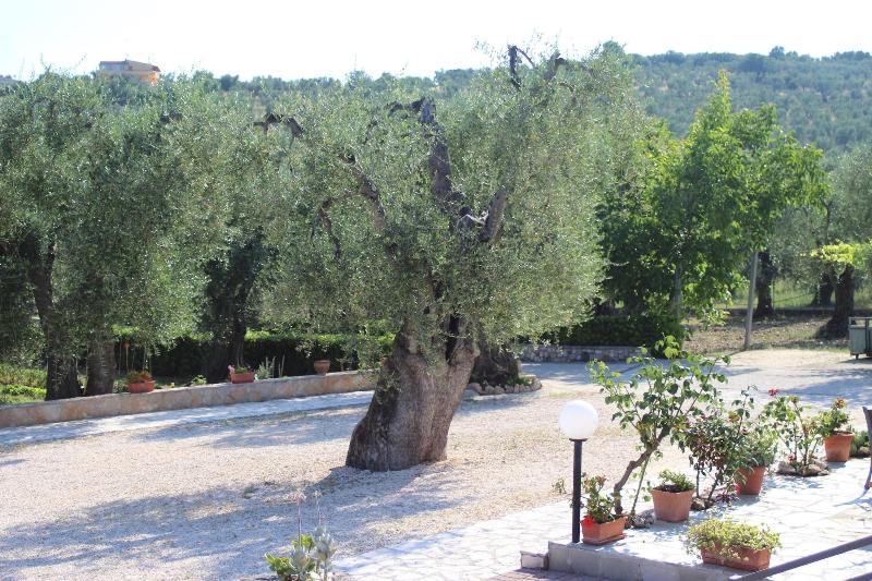 Villa Vesta image