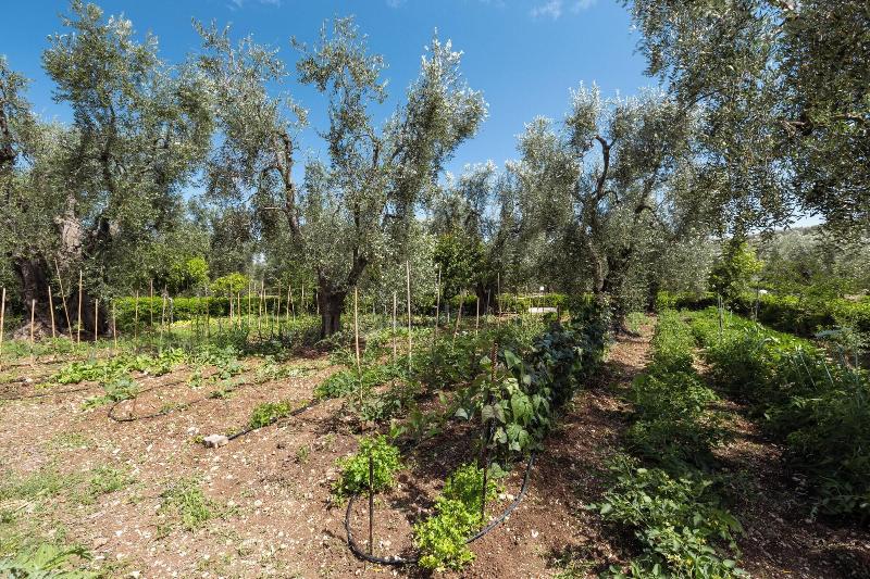 Villa Vesta image