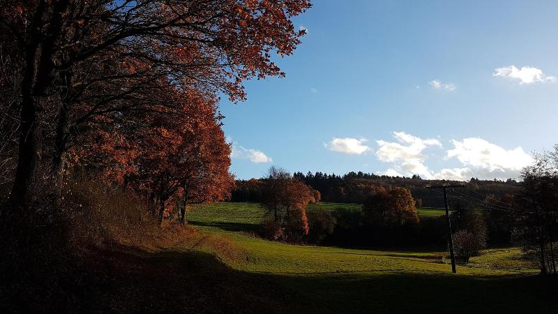 Gasthof Kern image