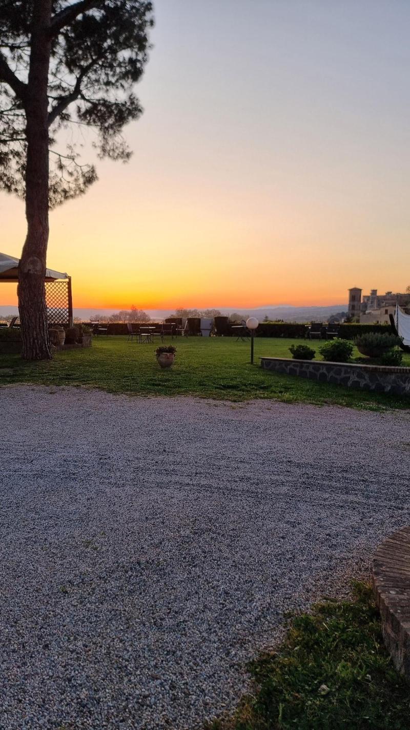 Le Vigne