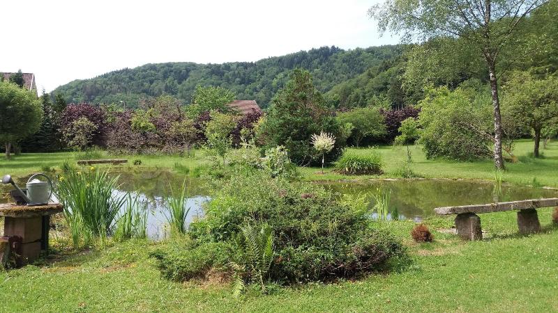 Au Pied Des Milles A Tangs Les Capucins image