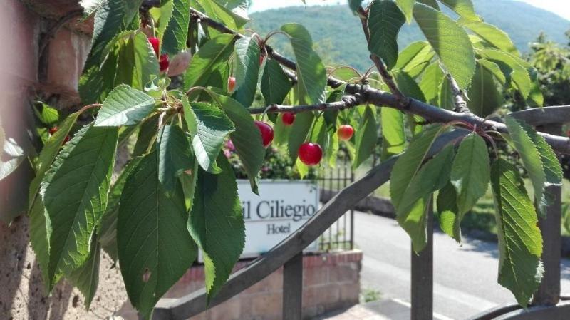 Hotel Il Ciliegio image