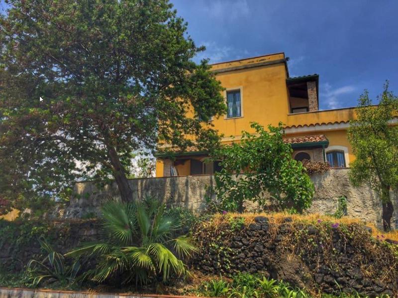 B B Masseria Cosentini — photo 3