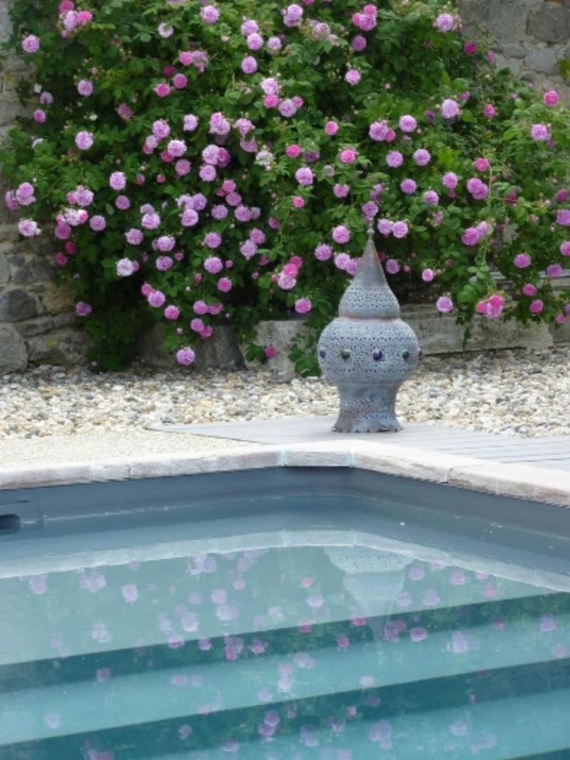 Au Bonheur D Alphonse image