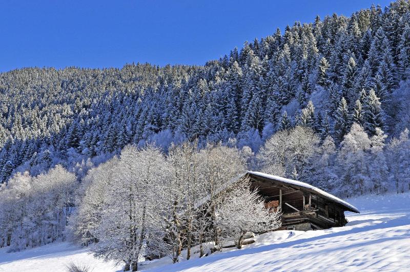 Azureva Areches Beaufort image