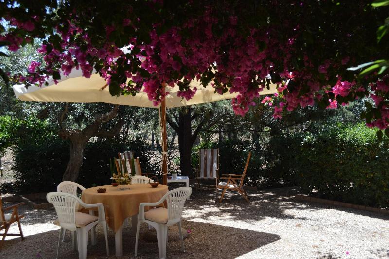 Bouganville Guest House — main photo