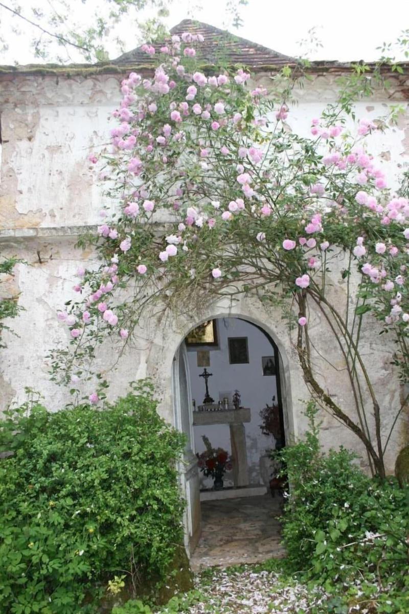 Cha Teau La Barge — photo 2