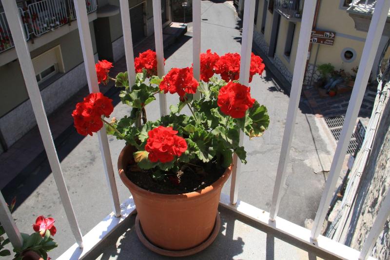 Due Sicilie Maison De Charme — main photo