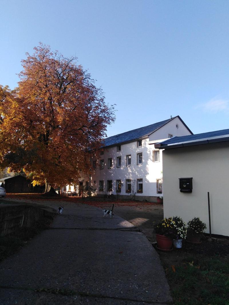 Landpension Haupt image