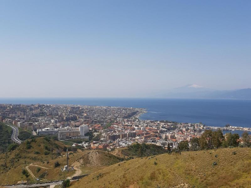 Nesea — main photo