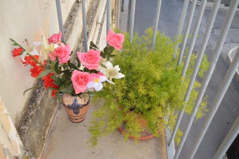 Leonessa Di Puglia — photo 3