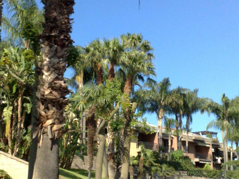 Porto Ulisse B B image