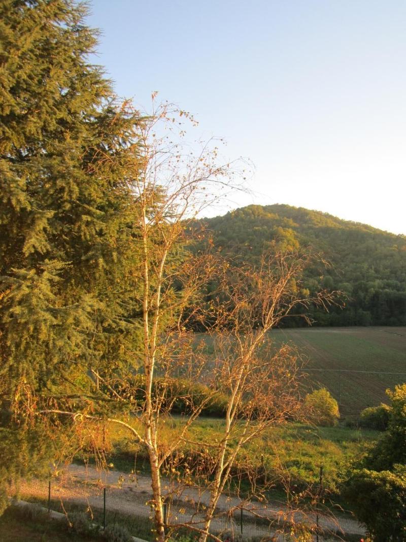 Tana Del Tasso — photo 2