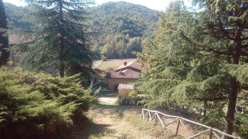 Tana Del Tasso — photo 3