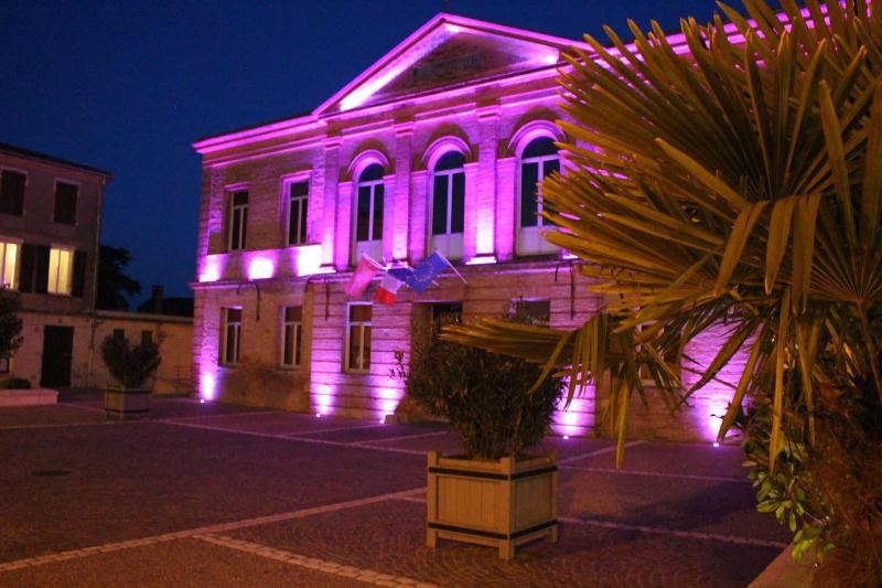 Le Vic De Lomagne image