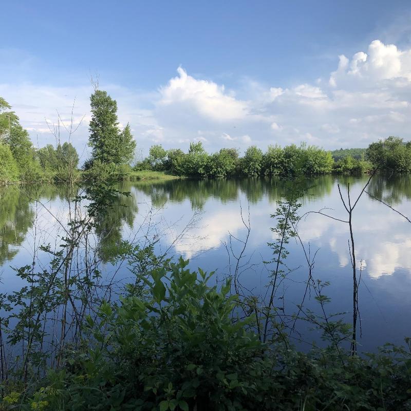 Le Grenier Occitan image
