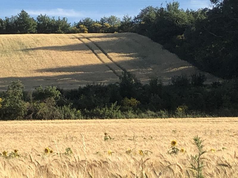 Le Grenier Occitan image