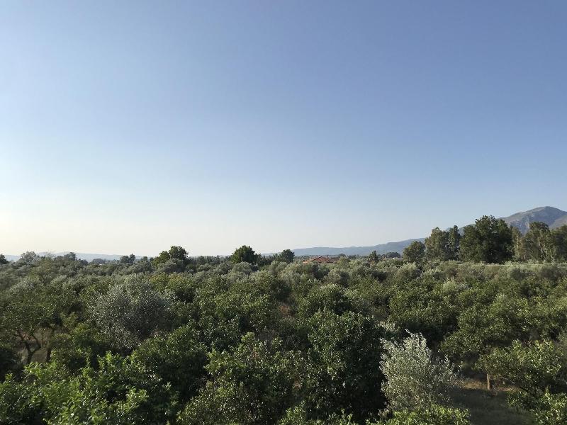 Taygetos — photo 2