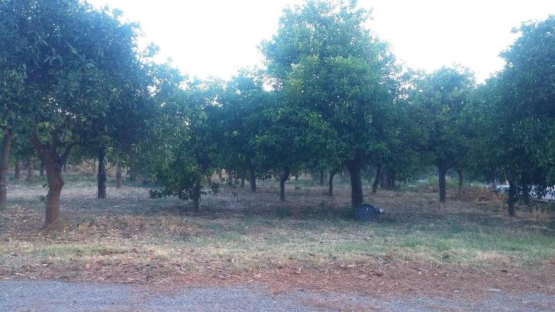 Taygetos — photo 5
