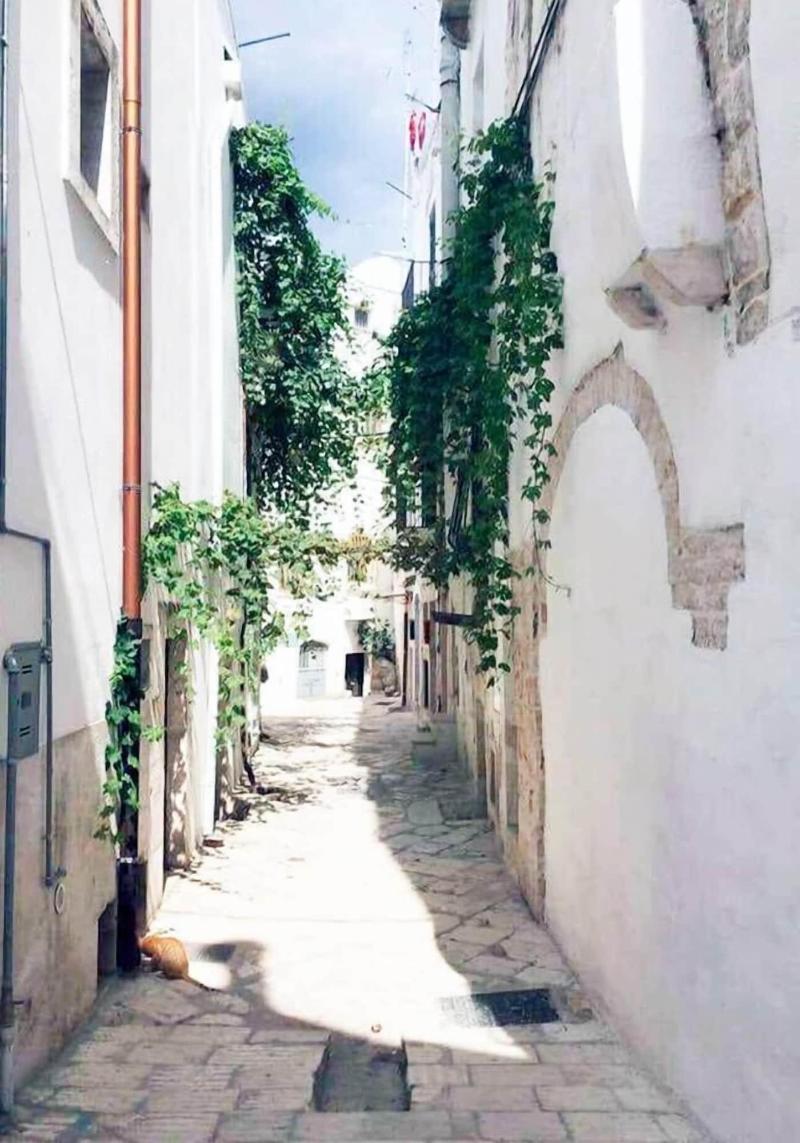Il Vicolo B B image
