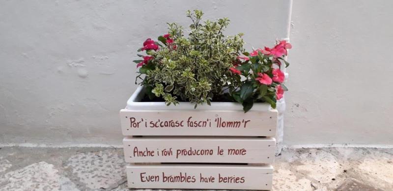 Il Vicolo B B image