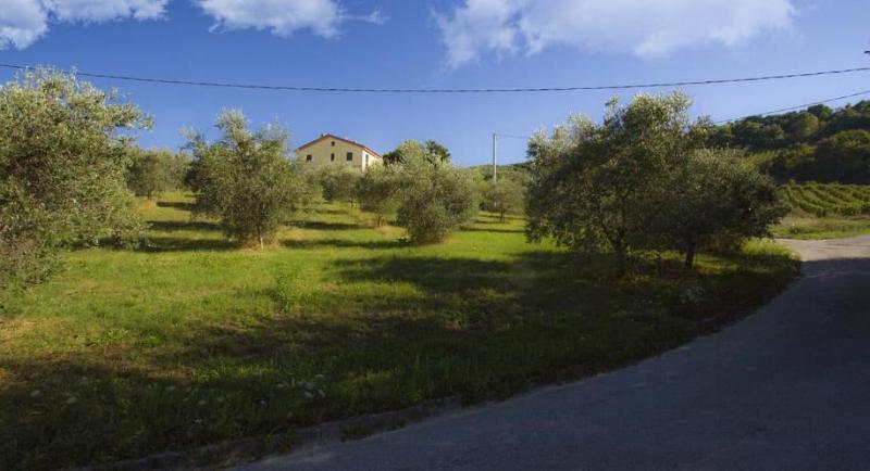 Agriturismo La Casa Nel Cielo — photo 4